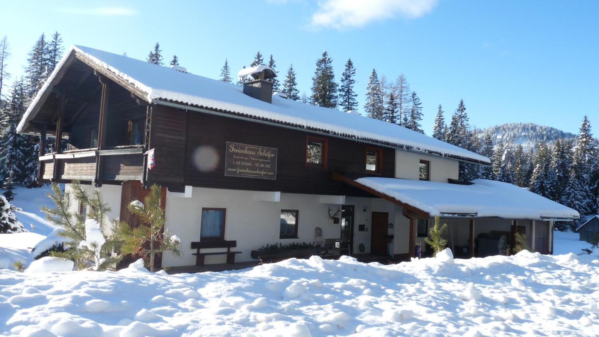 Ferienhaus Schaefer - Apartments - Wintersports - Family Holiday - Holiday With Your Dog - Rural & Scenic Flattnitz Exteriér fotografie