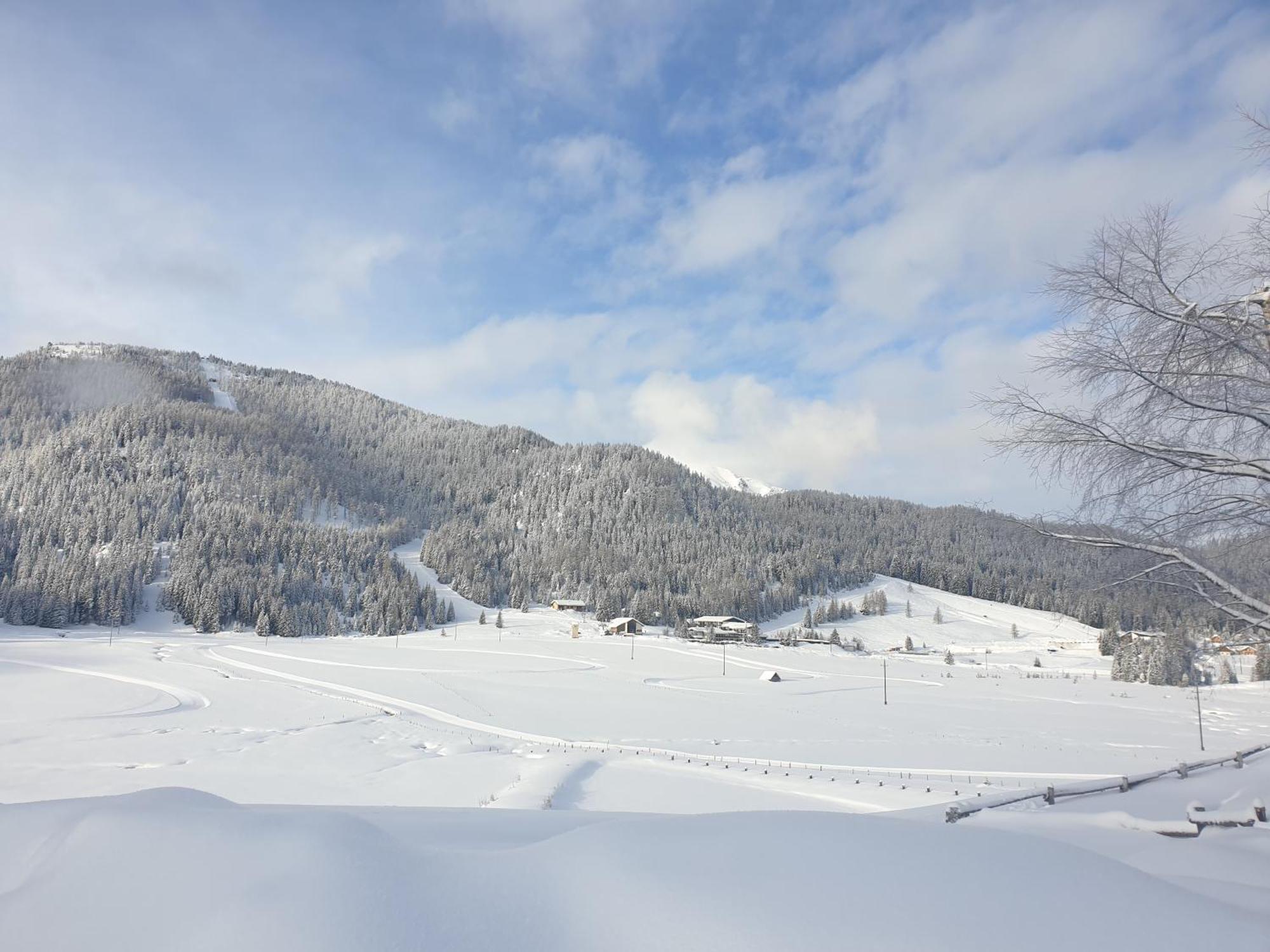 Ferienhaus Schaefer - Apartments - Wintersports - Family Holiday - Holiday With Your Dog - Rural & Scenic Flattnitz Exteriér fotografie
