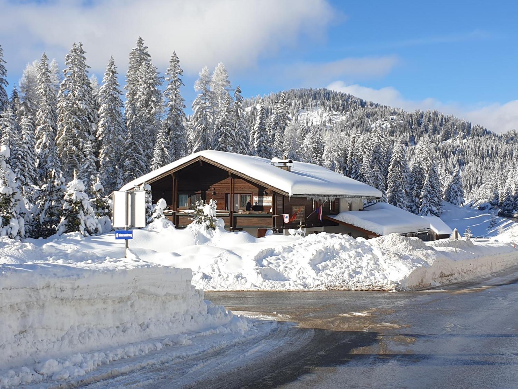 Ferienhaus Schaefer - Apartments - Wintersports - Family Holiday - Holiday With Your Dog - Rural & Scenic Flattnitz Exteriér fotografie