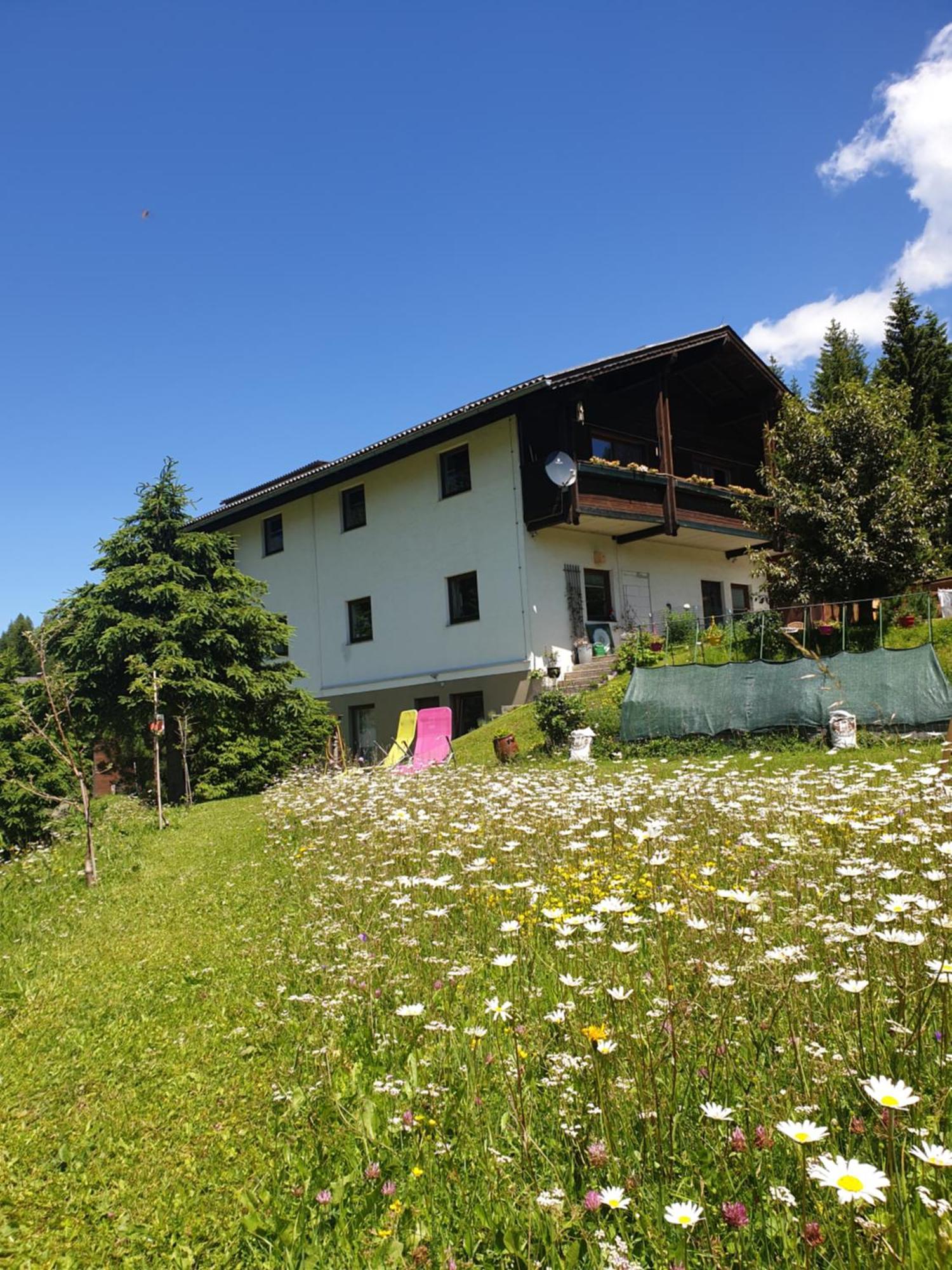 Ferienhaus Schaefer - Apartments - Wintersports - Family Holiday - Holiday With Your Dog - Rural & Scenic Flattnitz Exteriér fotografie