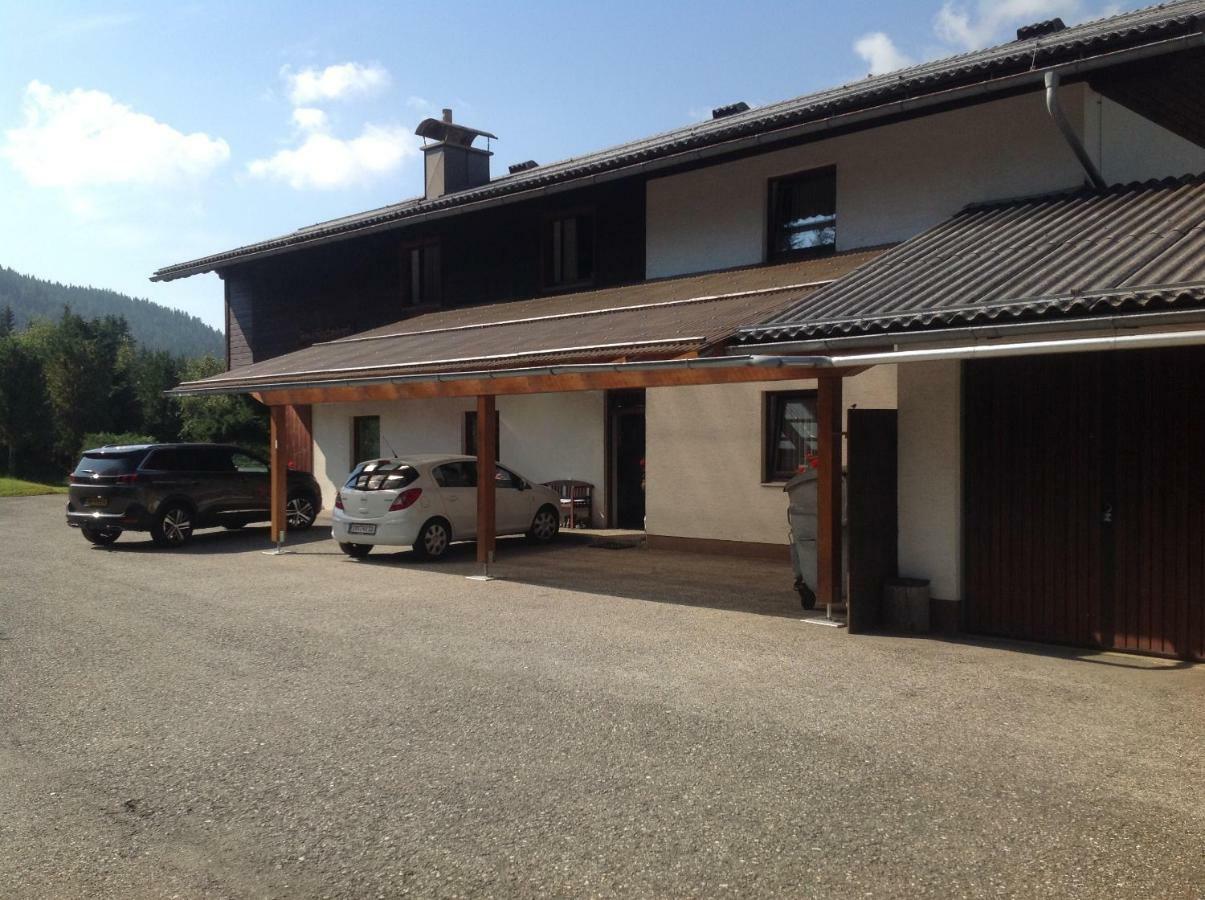 Ferienhaus Schaefer - Apartments - Wintersports - Family Holiday - Holiday With Your Dog - Rural & Scenic Flattnitz Exteriér fotografie