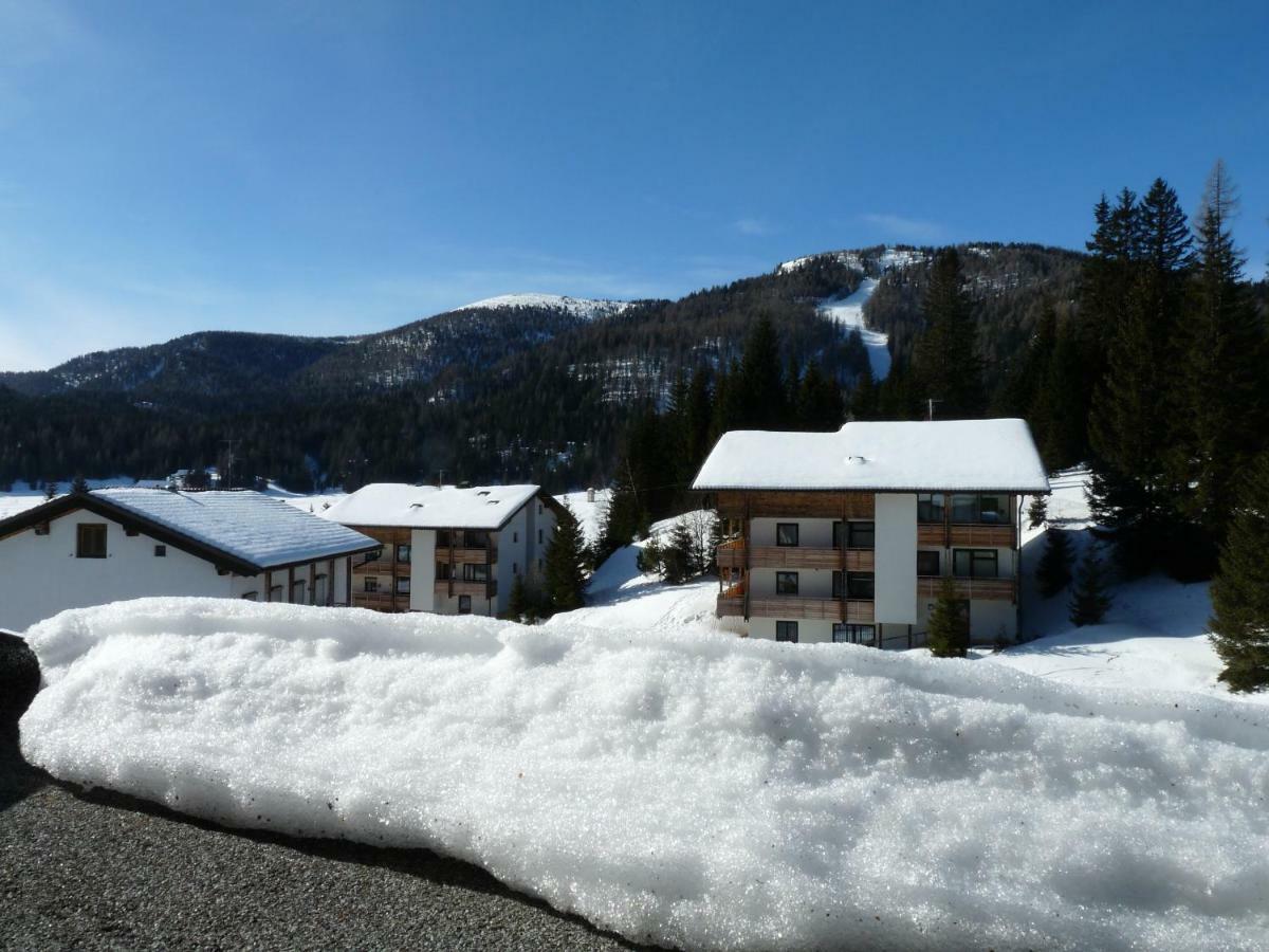 Ferienhaus Schaefer - Apartments - Wintersports - Family Holiday - Holiday With Your Dog - Rural & Scenic Flattnitz Exteriér fotografie